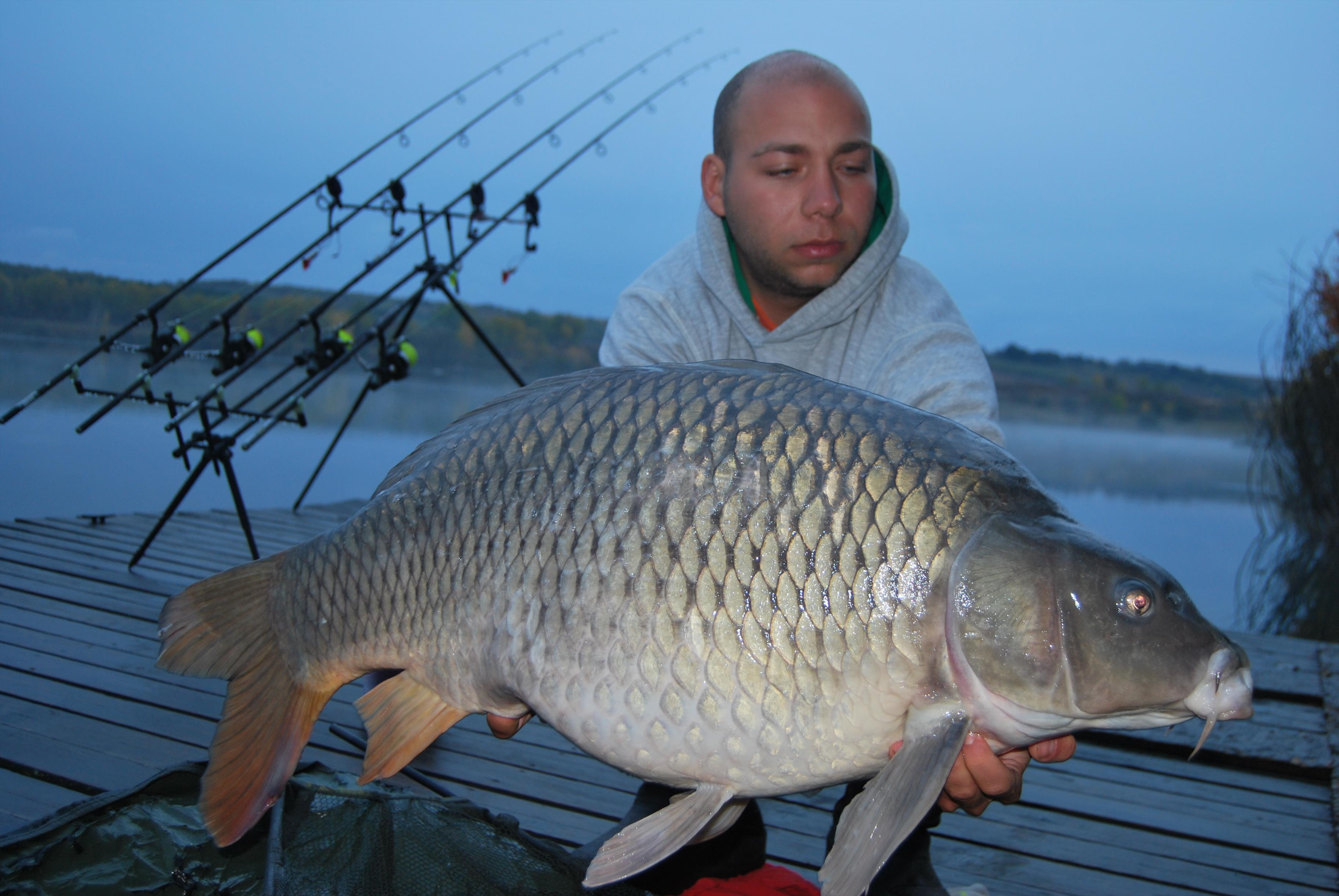 Ecsed - DSC_0420.JPG